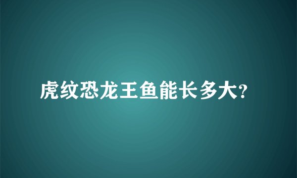 虎纹恐龙王鱼能长多大？
