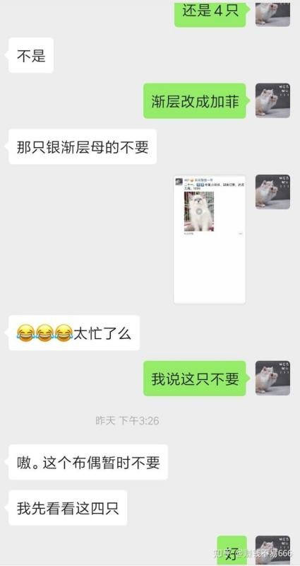 开个宠物店大概多少钱？