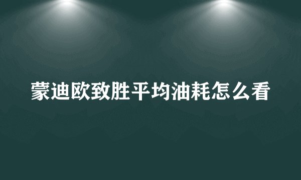 蒙迪欧致胜平均油耗怎么看