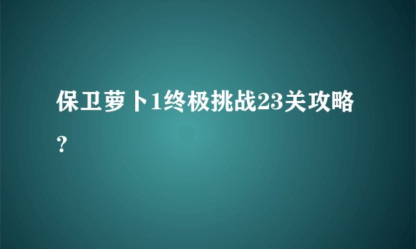 保卫萝卜1终极挑战23关攻略？