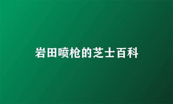 岩田喷枪的芝士百科