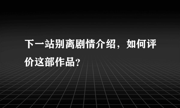 下一站别离剧情介绍，如何评价这部作品？
