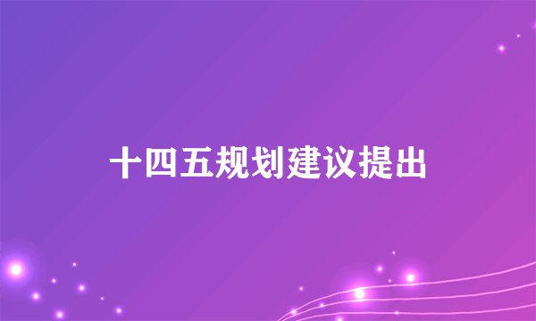十四五规划建议提出