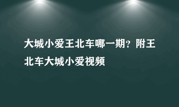 大城小爱王北车哪一期？附王北车大城小爱视频