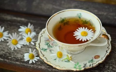 夏季降火汤