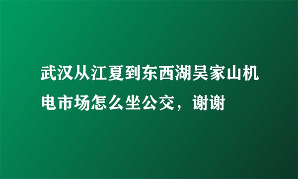 武汉从江夏到东西湖吴家山机电市场怎么坐公交，谢谢