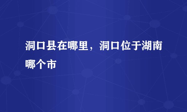 洞口县在哪里，洞口位于湖南哪个市
