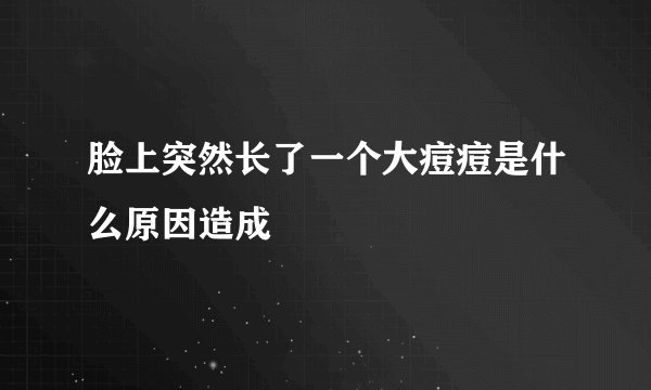 脸上突然长了一个大痘痘是什么原因造成