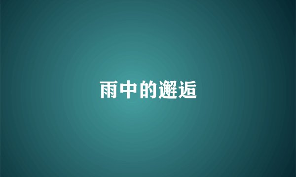 雨中的邂逅