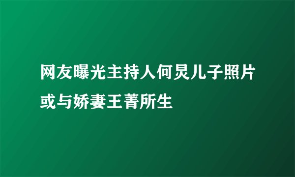 网友曝光主持人何炅儿子照片或与娇妻王菁所生