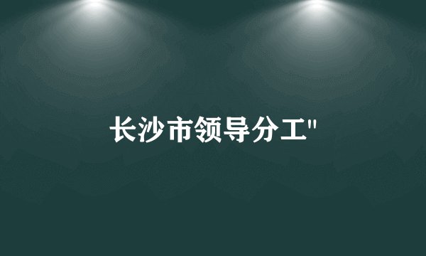 长沙市领导分工