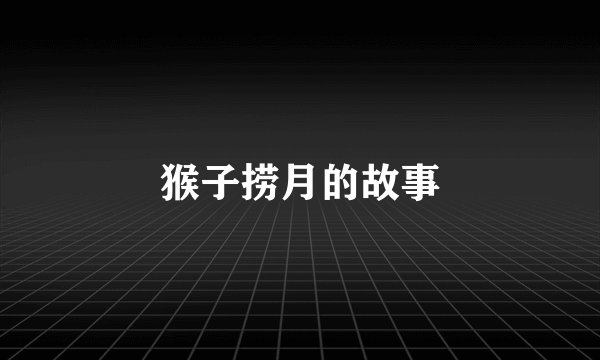 猴子捞月的故事