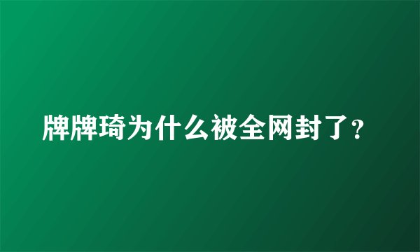 牌牌琦为什么被全网封了?