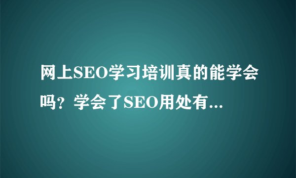 网上SEO学习培训真的能学会吗？学会了SEO用处有哪些啊。待遇怎么样呢？