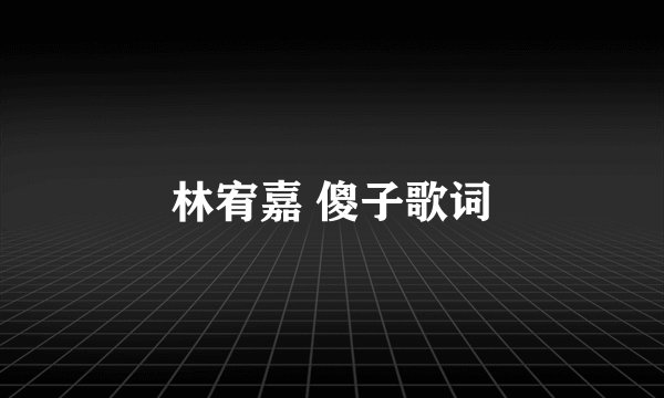 林宥嘉 傻子歌词