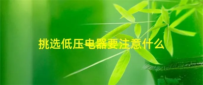 挑选低压电器要注意什么
