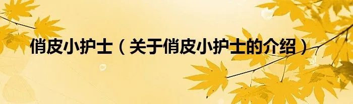 俏皮小护士（关于俏皮小护士的介绍）