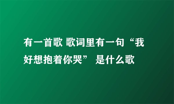 有一首歌 歌词里有一句“我好想抱着你哭” 是什么歌
