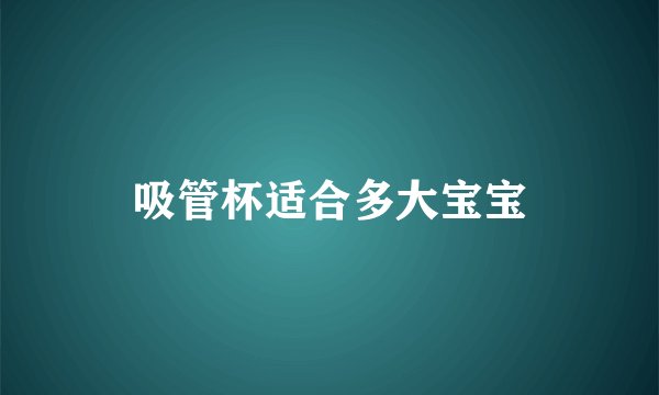吸管杯适合多大宝宝