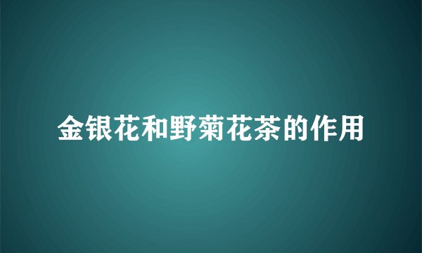 金银花和野菊花茶的作用