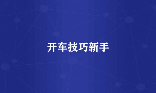 开车技巧新手
