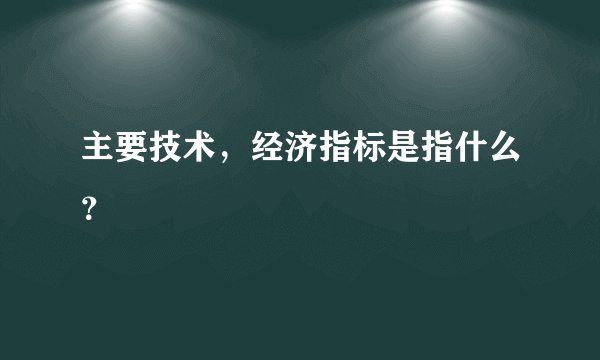 主要技术，经济指标是指什么？