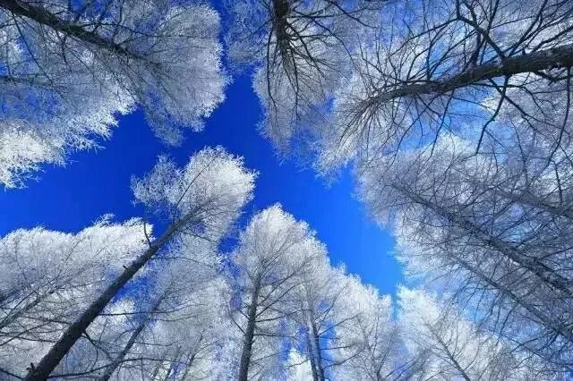 上联：江上舟几口，船来船往。期待下联？
