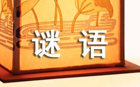 花的谜语