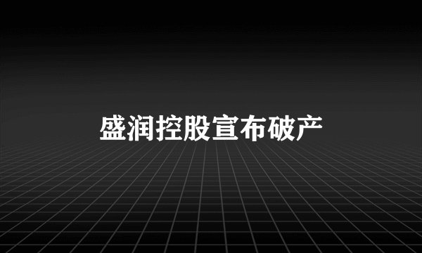 盛润控股宣布破产