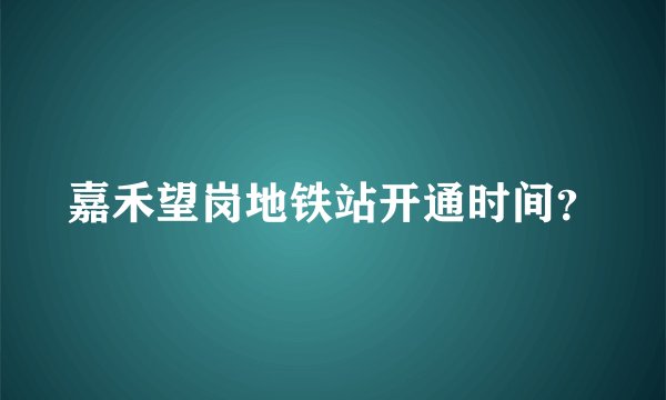 嘉禾望岗地铁站开通时间？