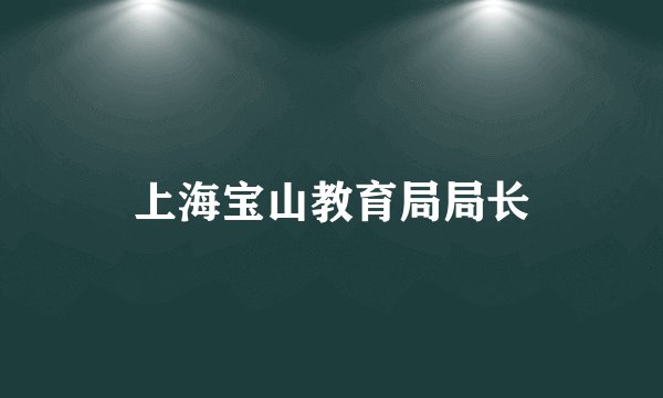 上海宝山教育局局长