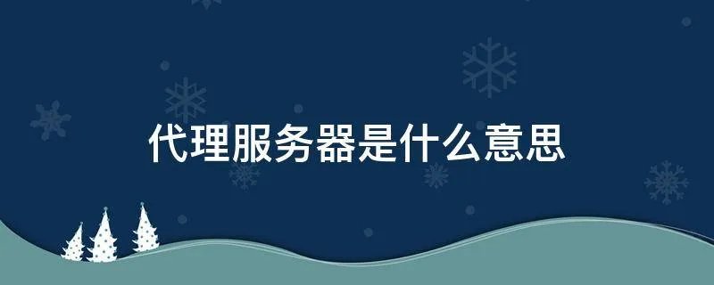 代理服务器是什么意思
