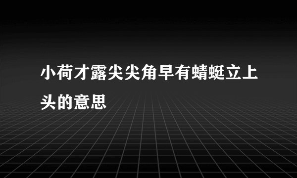 小荷才露尖尖角早有蜻蜓立上头的意思