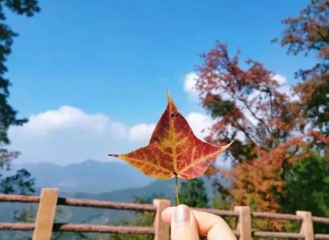 五一从化一日游去哪合适?