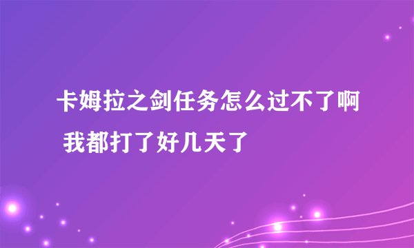 卡姆拉之剑任务怎么过不了啊 我都打了好几天了