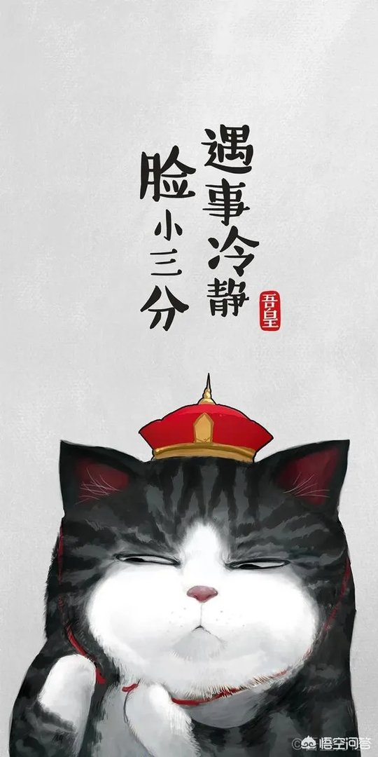 哈佛h8