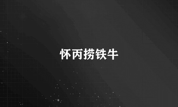 怀丙捞铁牛