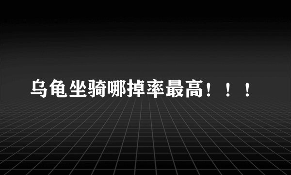 乌龟坐骑哪掉率最高！！！
