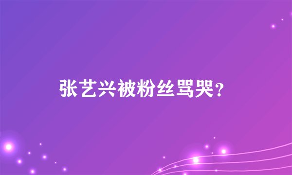 张艺兴被粉丝骂哭？