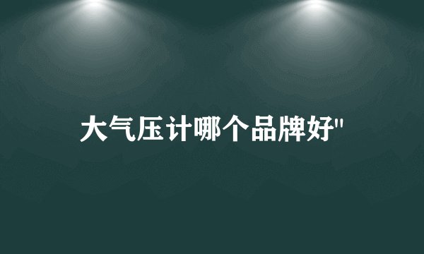 大气压计哪个品牌好