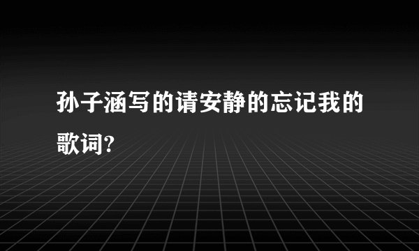 孙子涵写的请安静的忘记我的歌词?