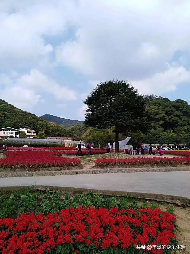 五一从化一日游去哪合适?