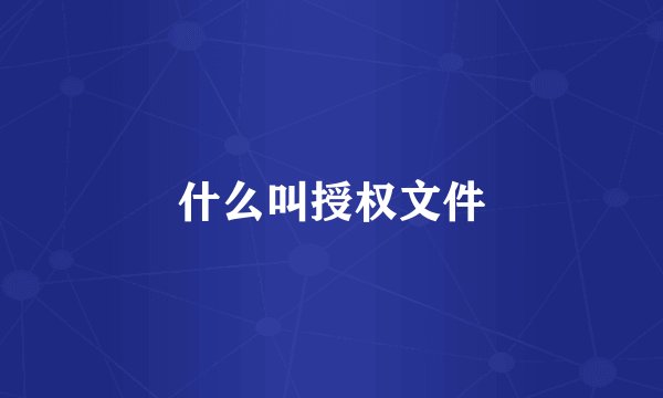 什么叫授权文件
