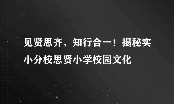 见贤思齐,知行合一!揭秘实小分校思贤小学校园文化