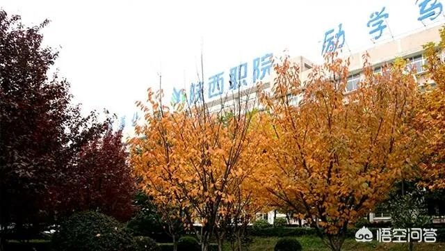 陕西省有哪些大专?哪所大专比较好?