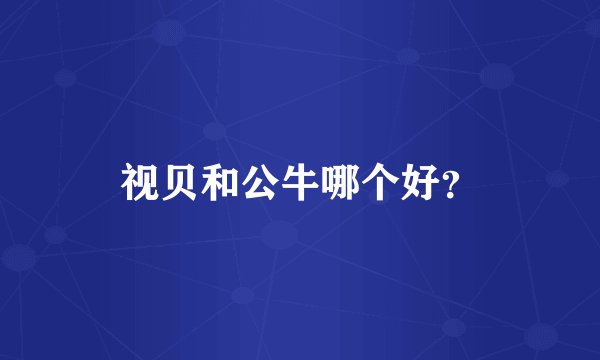视贝和公牛哪个好？