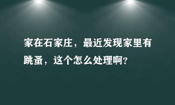 家在石家庄，最近发现家里有跳蚤，这个怎么处理啊？