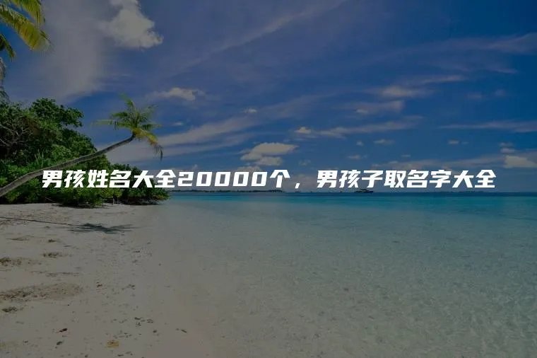 男孩姓名大全20000个,男孩子取名字大全