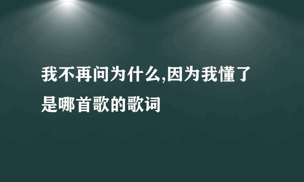 我不再问为什么,因为我懂了 是哪首歌的歌词