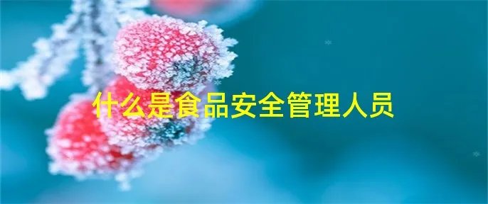 什么是食品安全管理人员
